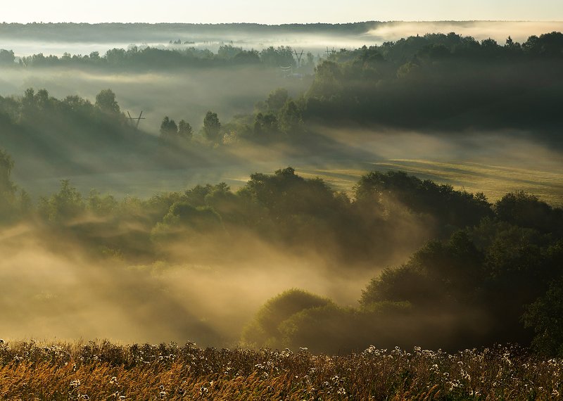 Утро фото превью