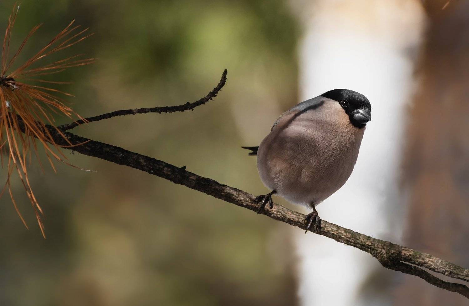 , Марина Мочалова