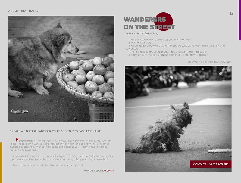 Wandererz фото превью