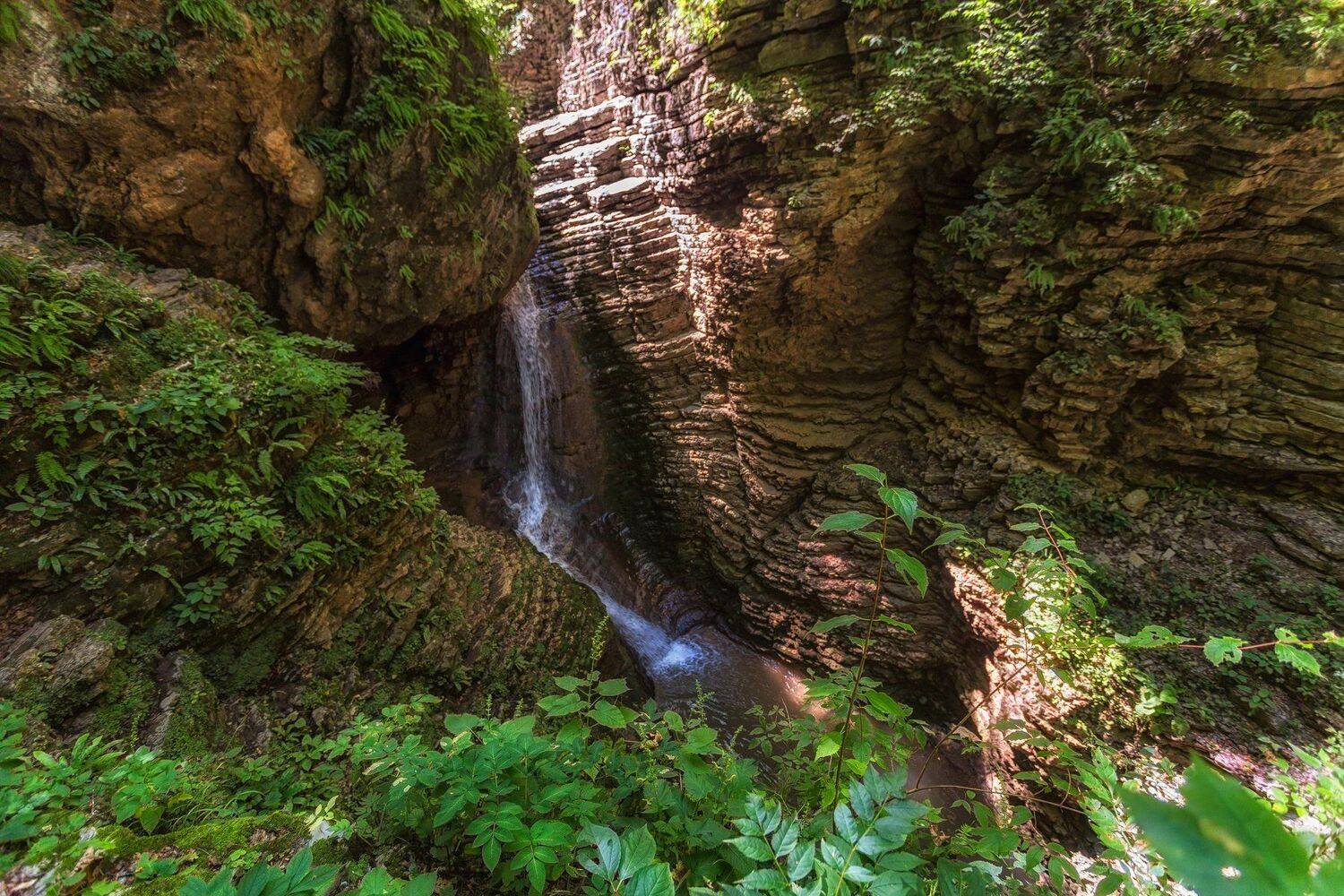 , Павел Сагайдак