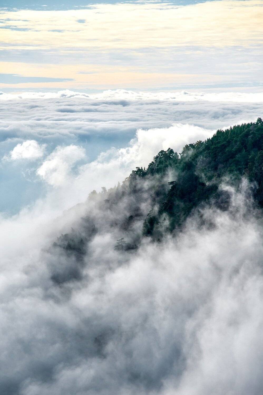 , Андрей Кривцов