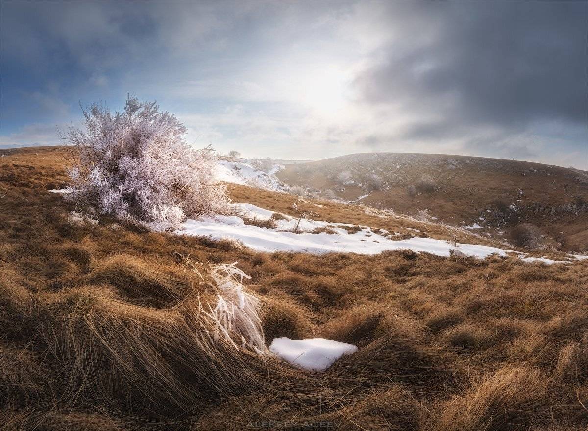 , Алексей Агеев