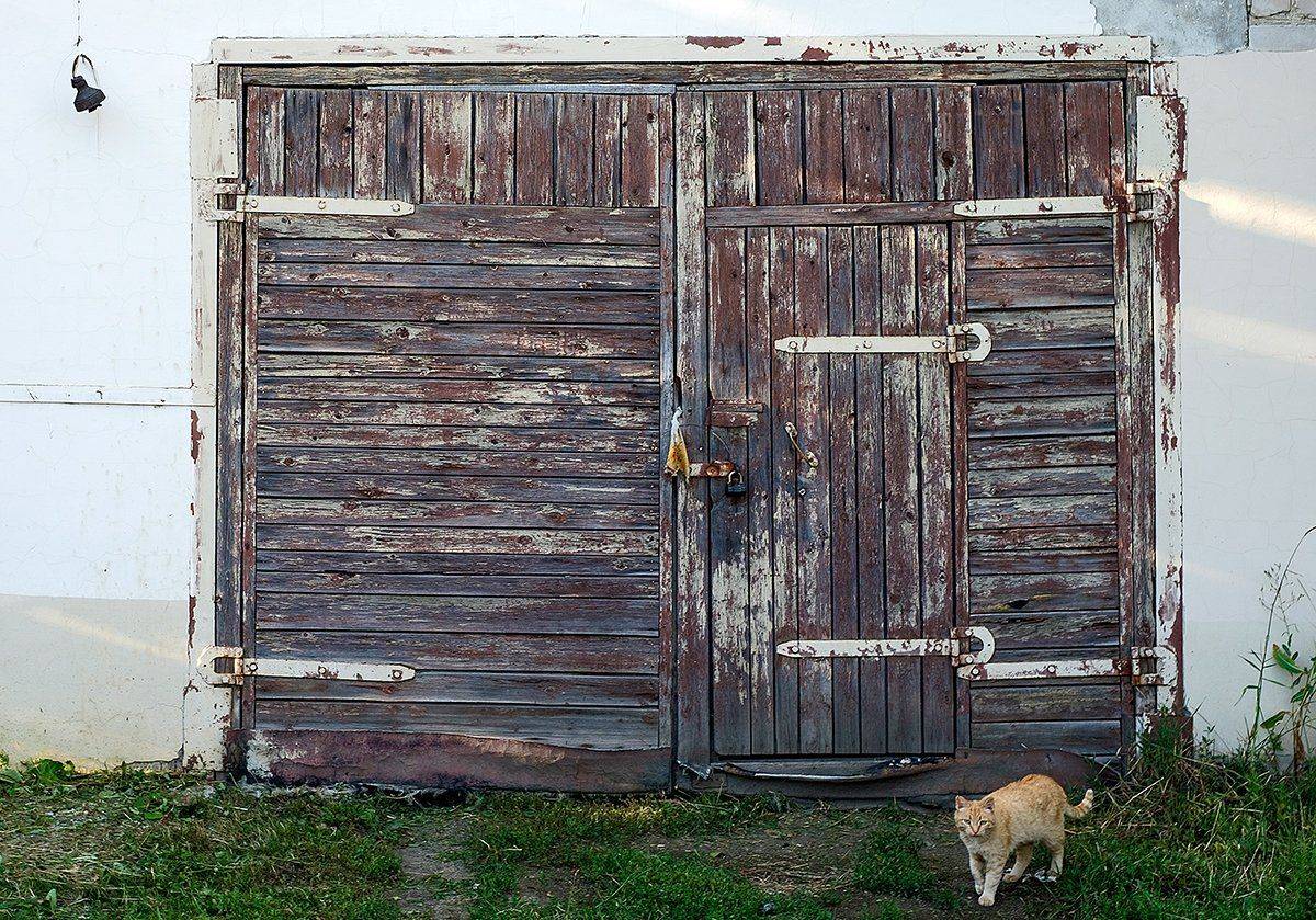 Провинция, гараж, Владислав Никишин