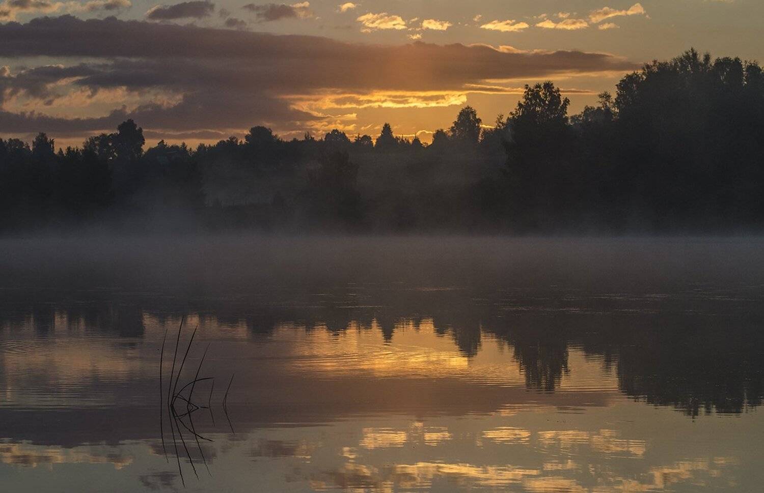 утро, туман, архангельское, Михаил Агеев