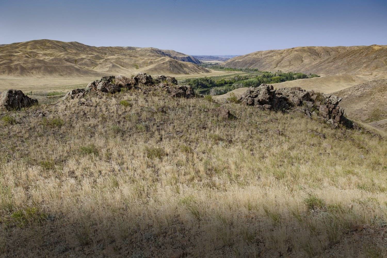 , петр чиков