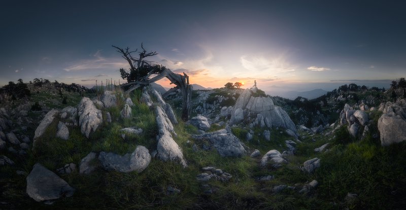 Nature first фото превью