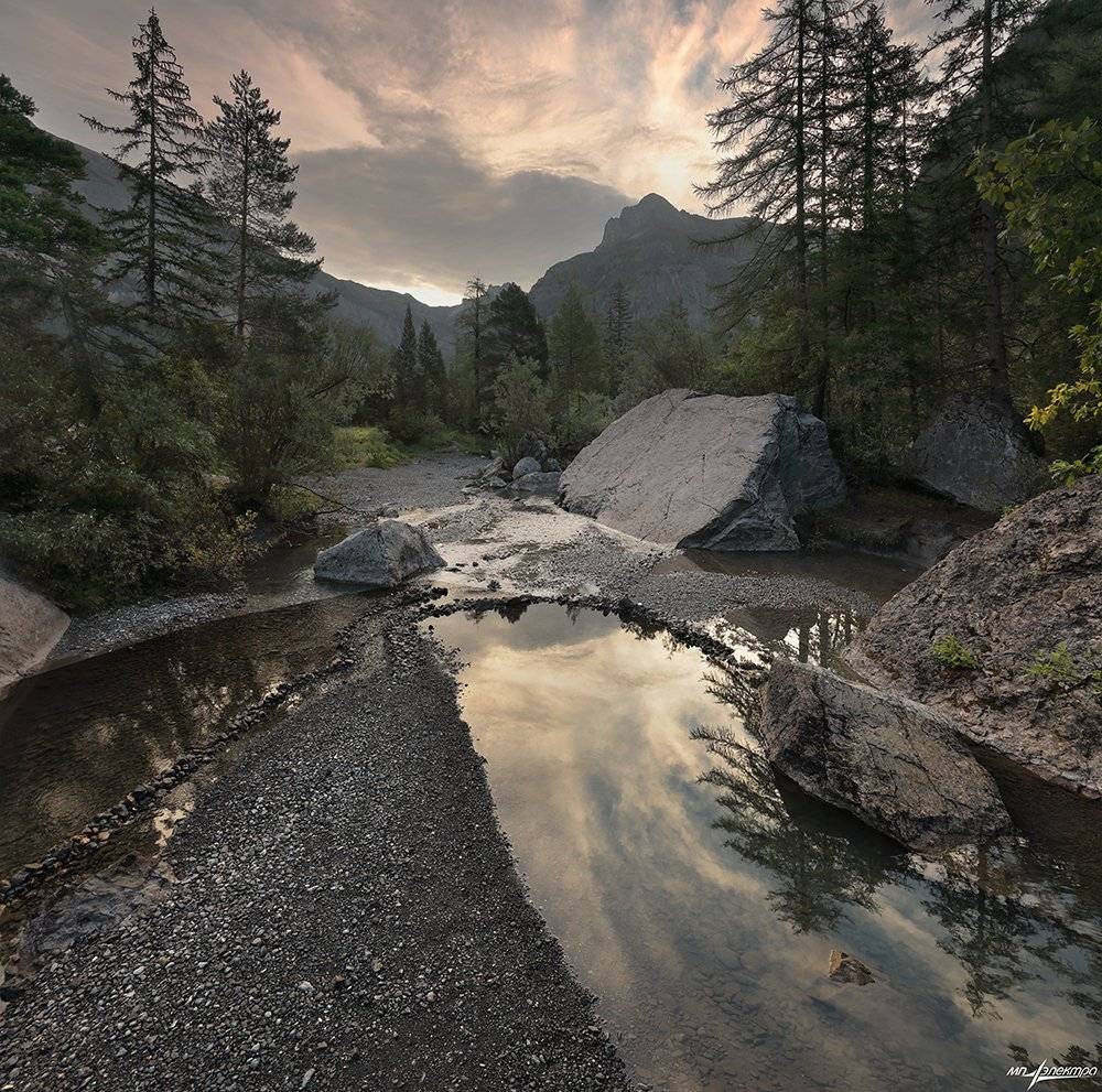 swiss, Матвеев Николай