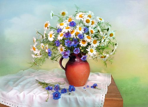 Ромашки и васильки