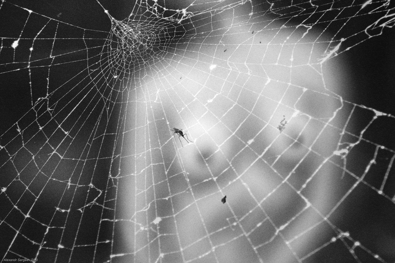 арт,фото-арт,ню-арт,философское,концептуальное,ч/б, Александр Сергеев