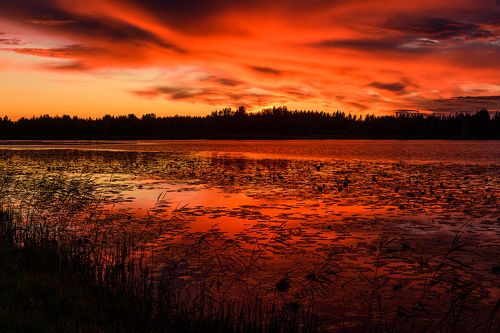 Невероятный вечер на лесном озере