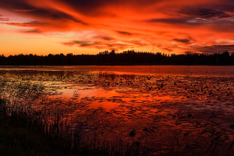 закат, озеро, псков Невероятный вечер на лесном озере фото превью