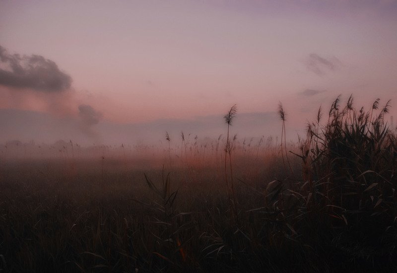 Дрёма.. фото превью