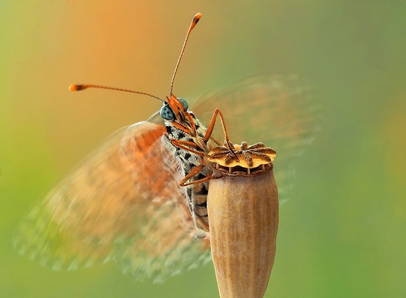 Игра на барабане фото превью