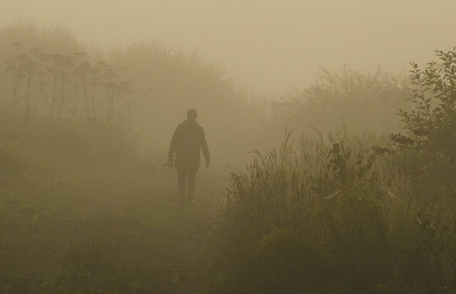 утро, туман, архангельское, Михаил Агеев
