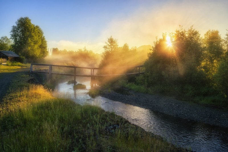 природа, утро, свет, nikon Мостик к свету фото превью