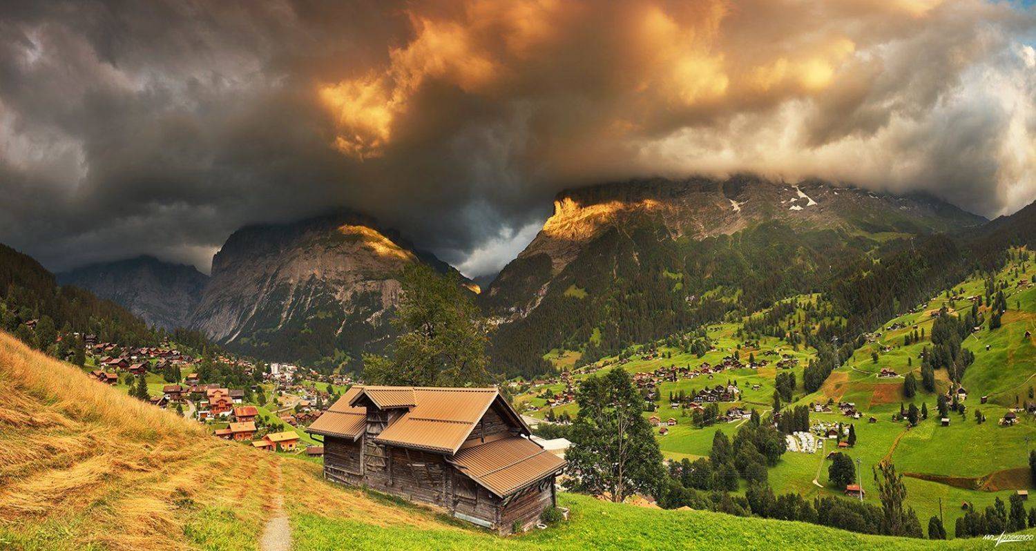 swiss, Матвеев Николай