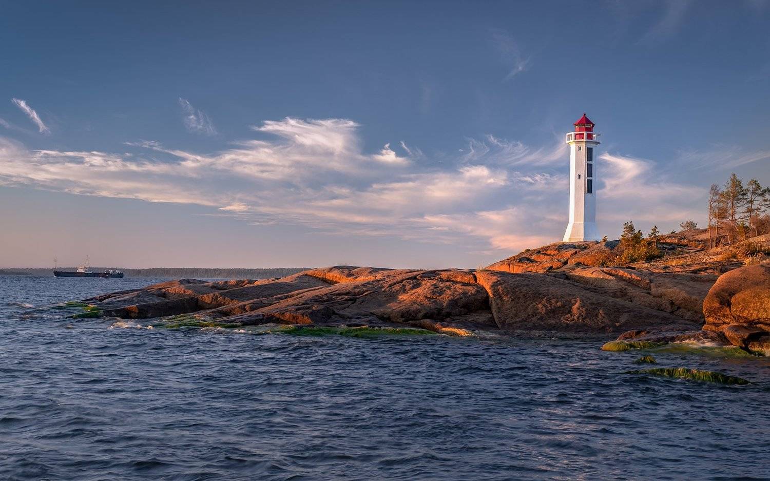 , Елена Маковоз