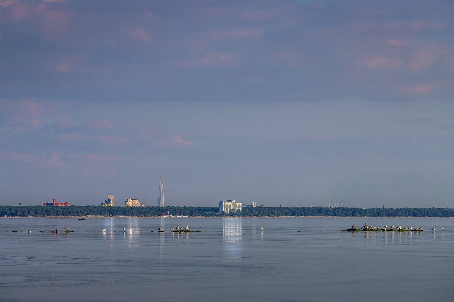 , Елена Маковоз