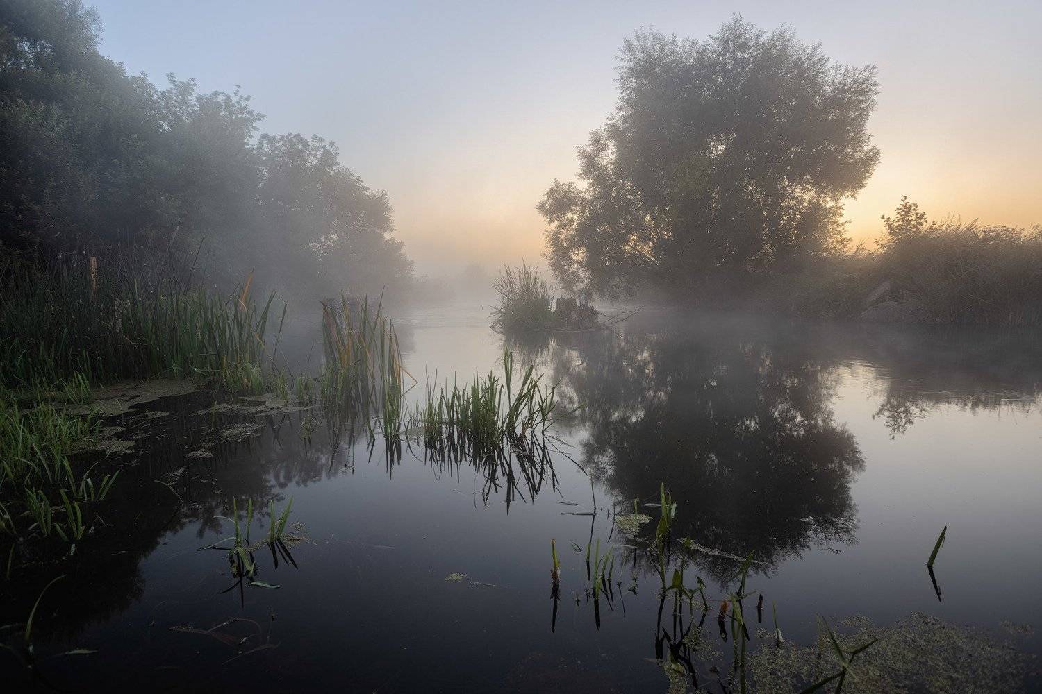 , Александр Бредихин