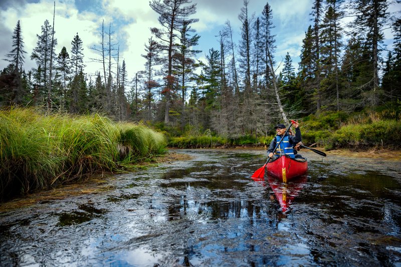 canada ,ontario ,canoe ,algonquinpark ,algonquin ,kawawaymoglake ,travel ,nature ,waterways ,silentmotion ,canoecamping ,forest ,parkscanada ,friends ,jurney ,pedaling ,paddle ,vegetation ,green ,wild ,wildnature ,northernjungle ,narrowpassage ,narrowchan Silent motion фото превью