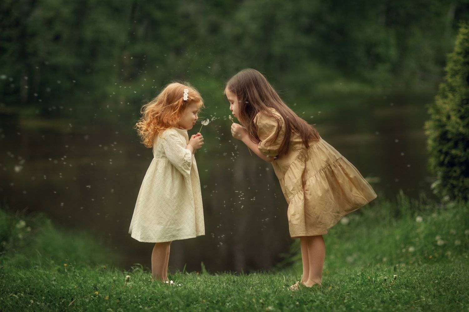 лето сестрички одуванчики , Мила Силина