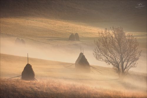 Карпаты...Осень...Утро...