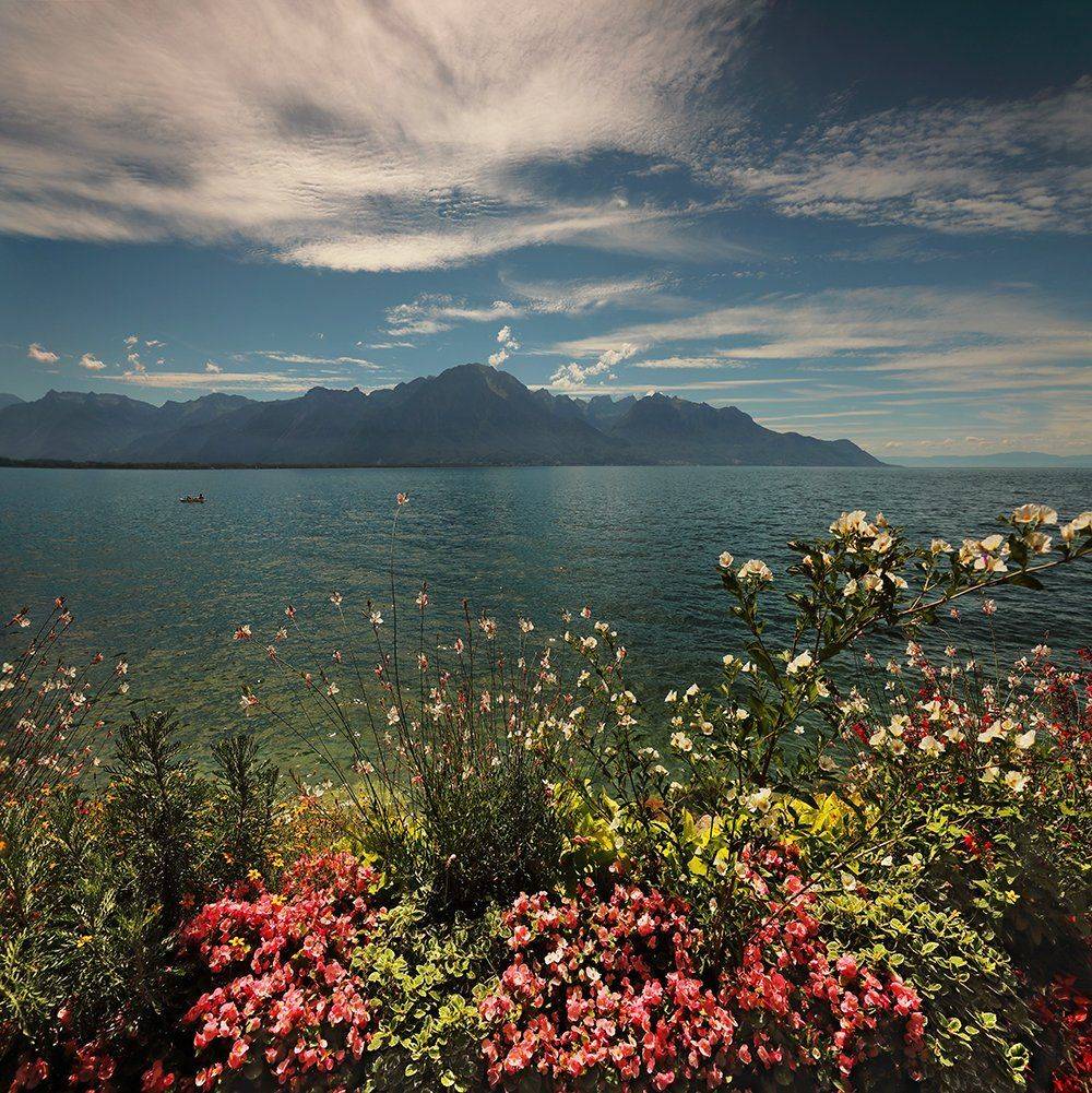 swiss, Матвеев Николай