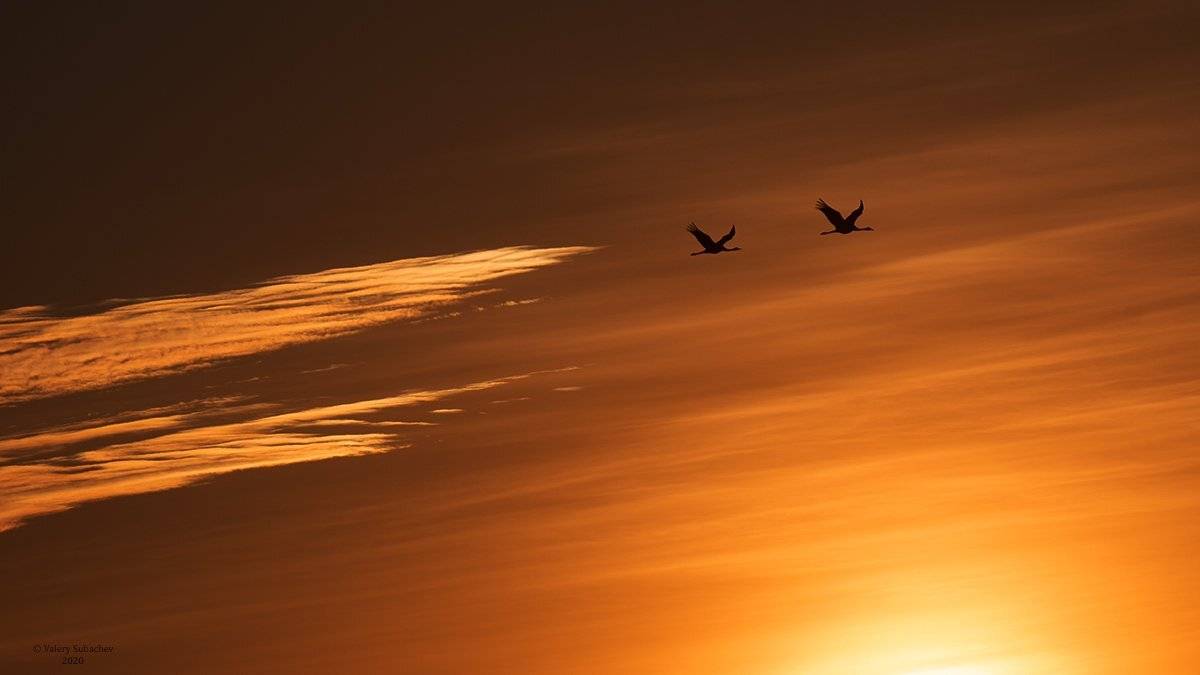 , Валерий Субачев