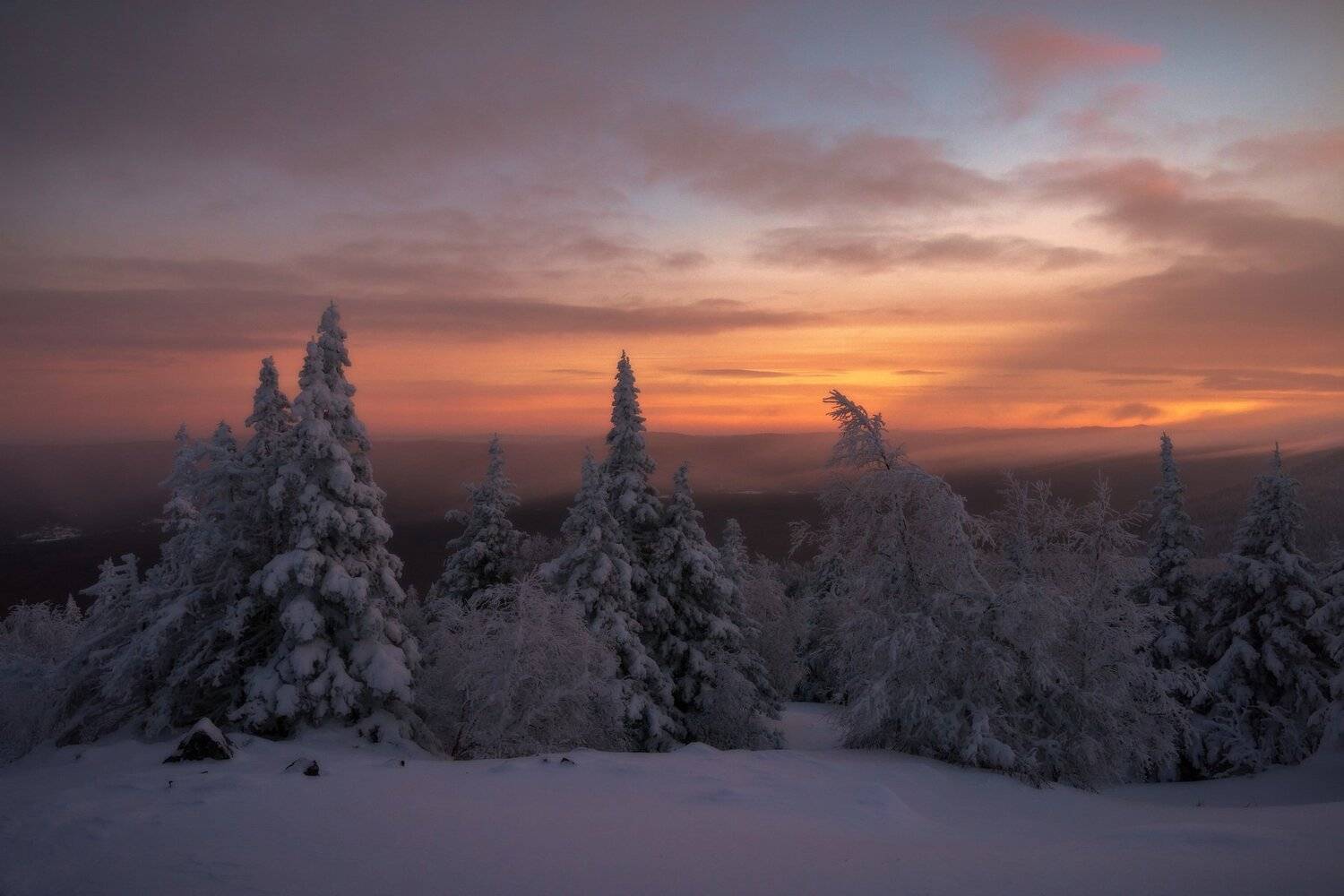 , Андрей Шарапов