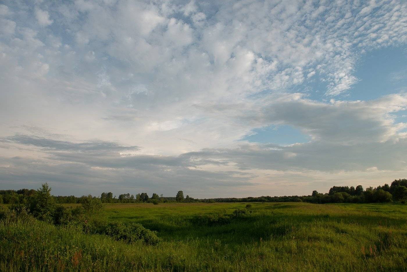 , Григорий Пиль