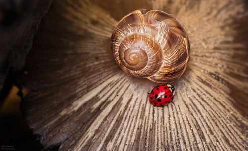 В поисках ночлега