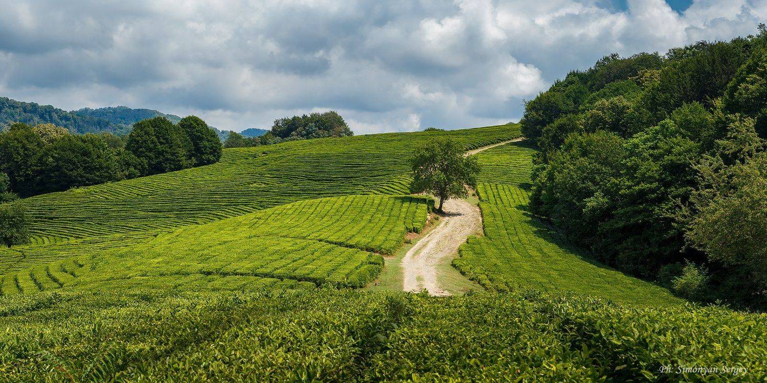 , Симонян Сергей