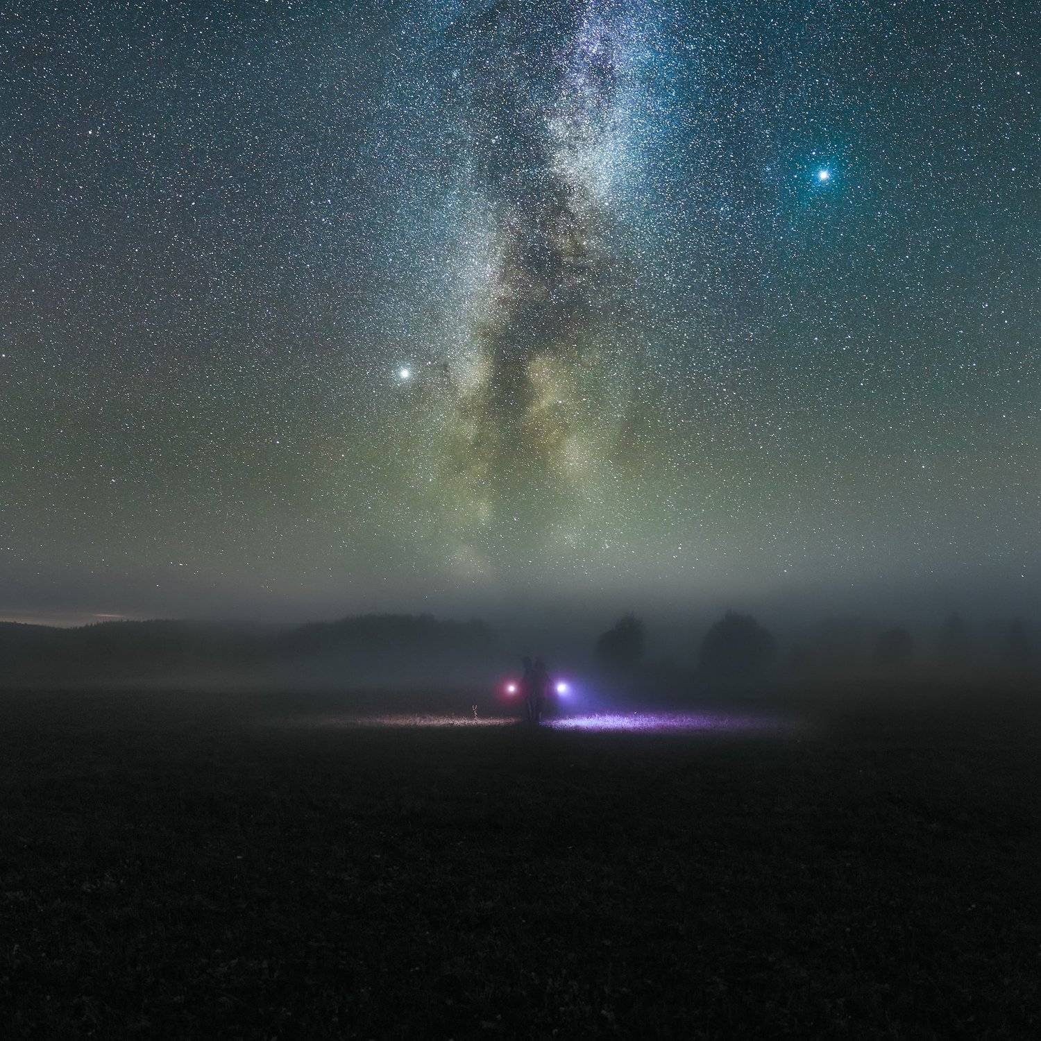 , Даниил Мелехов