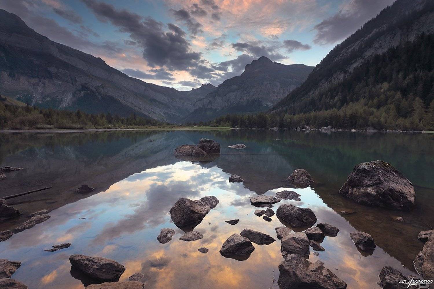 swiss, Матвеев Николай