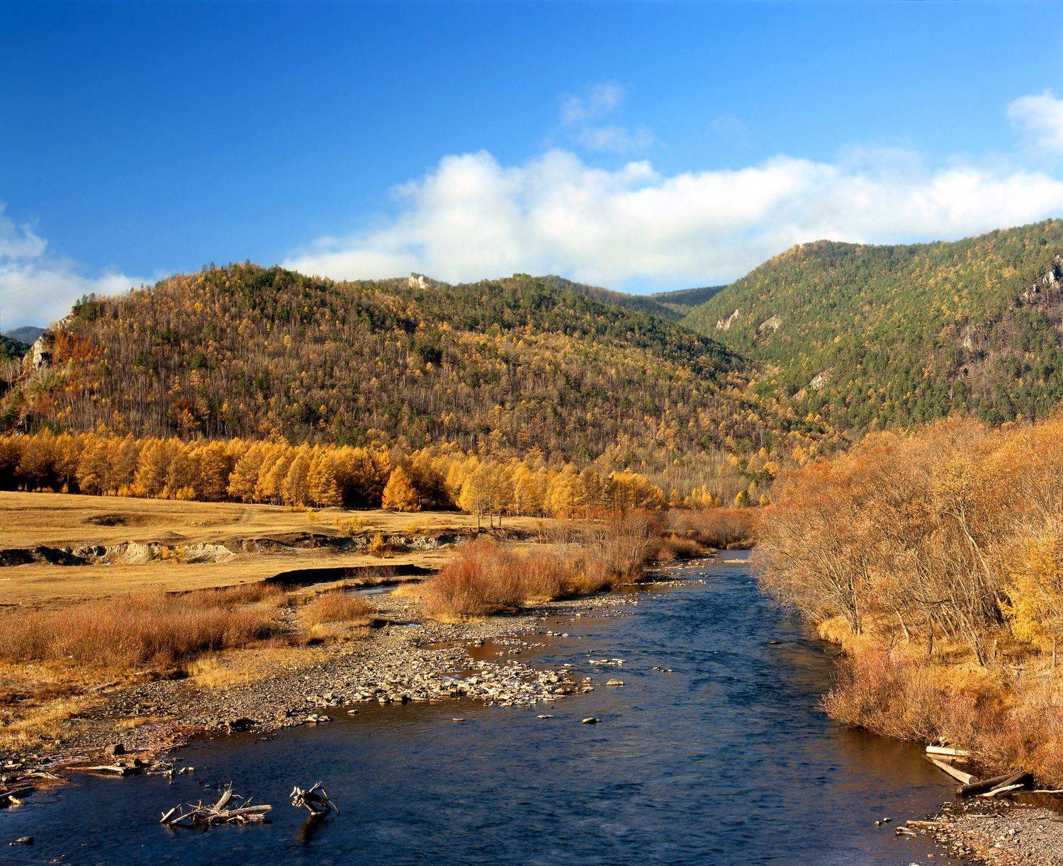 , Игорь Железняк