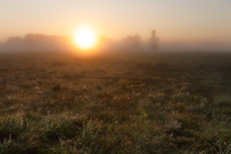 Боголюбов луг фото превью
