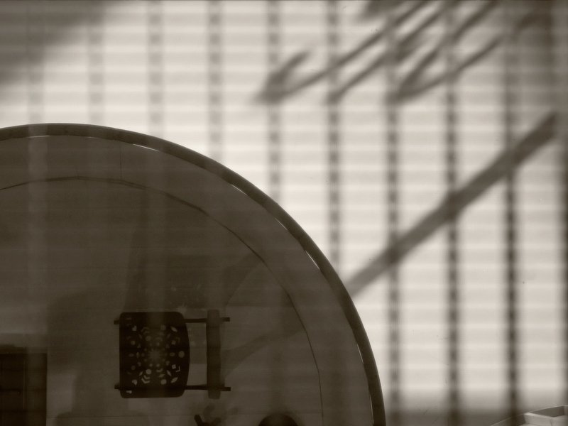 3902028 фото превью