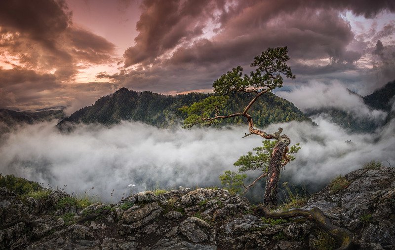 Home Alone фото превью