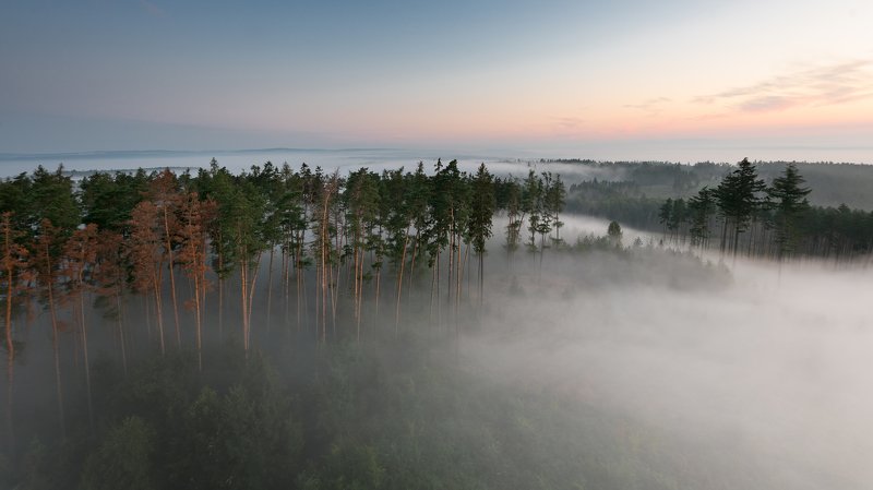 Foggy morning фото превью