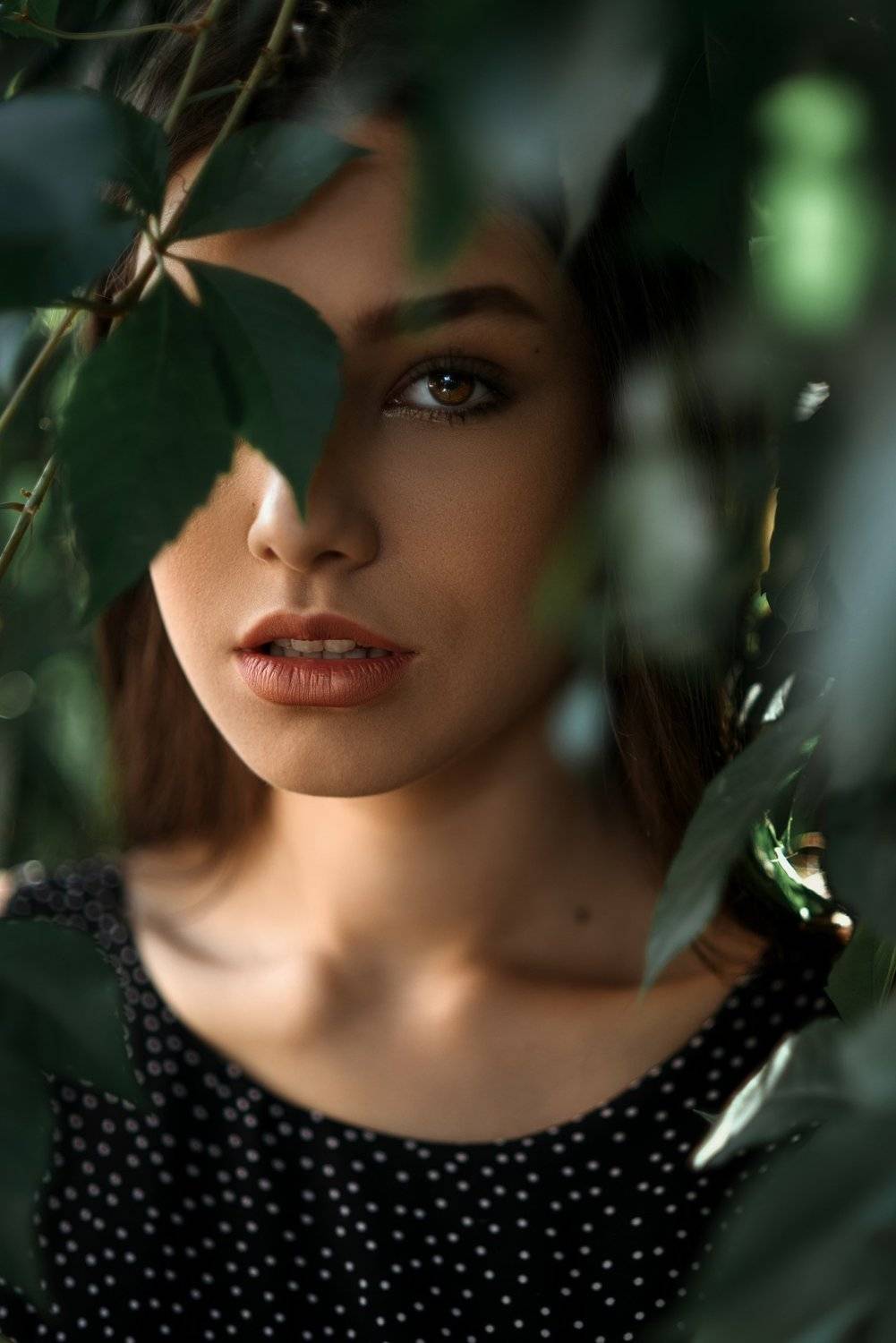 , Черепко Павел