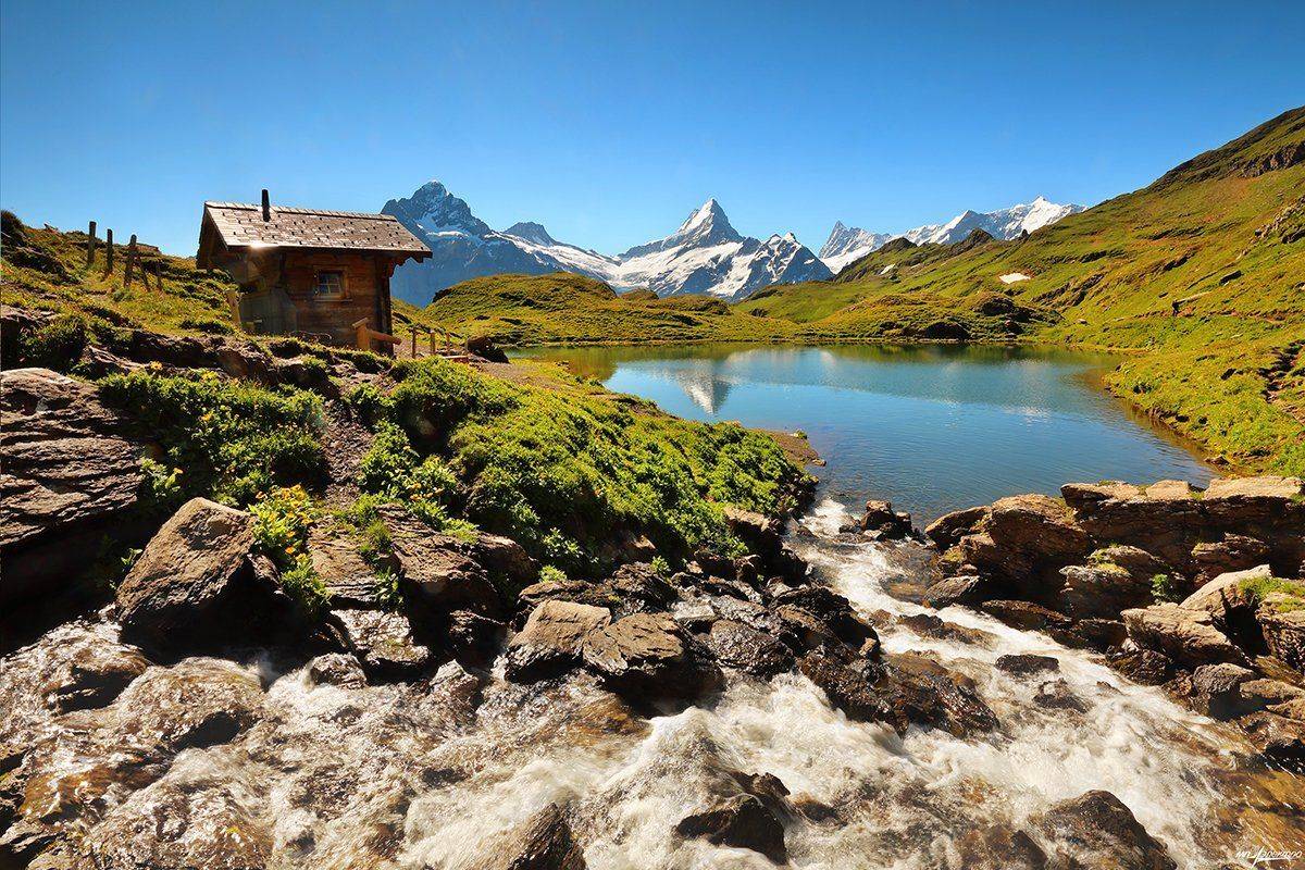 swiss, Матвеев Николай