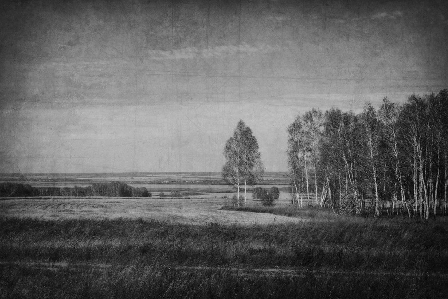 , Гагик Мхитарян