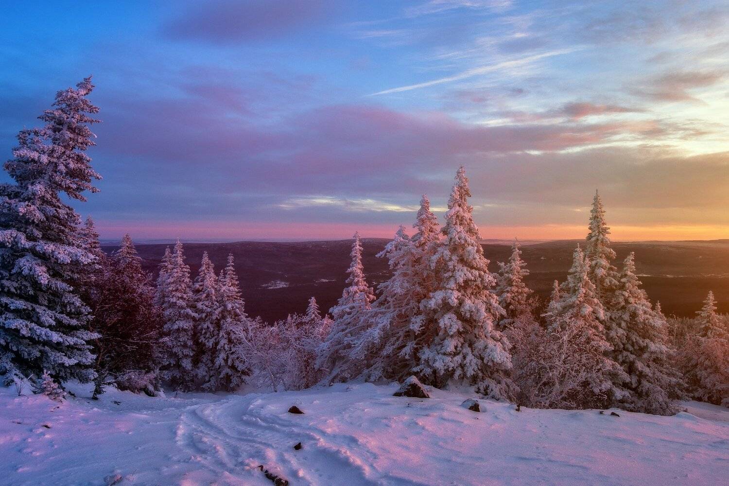 , Андрей Шарапов