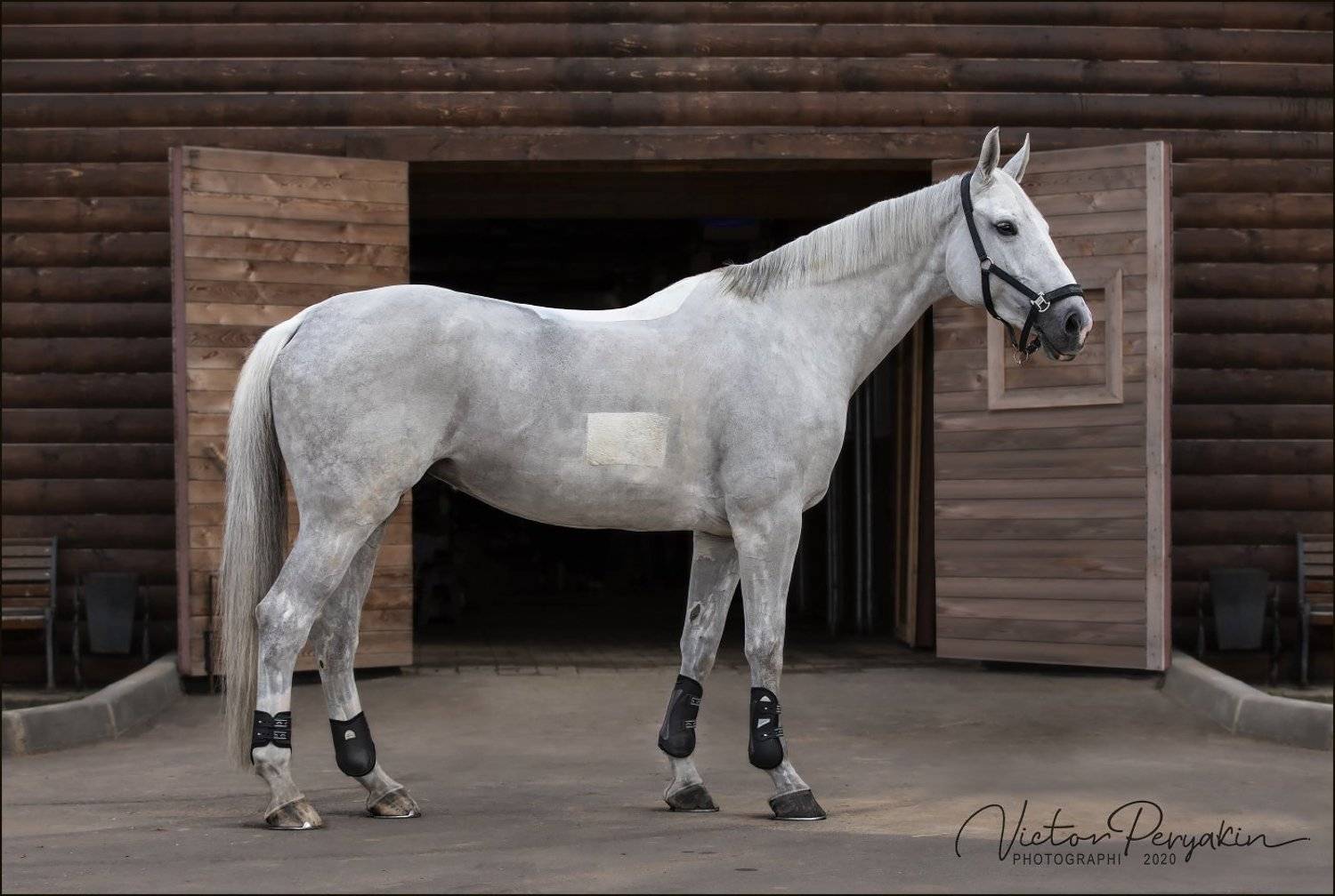 , Виктор Перякин