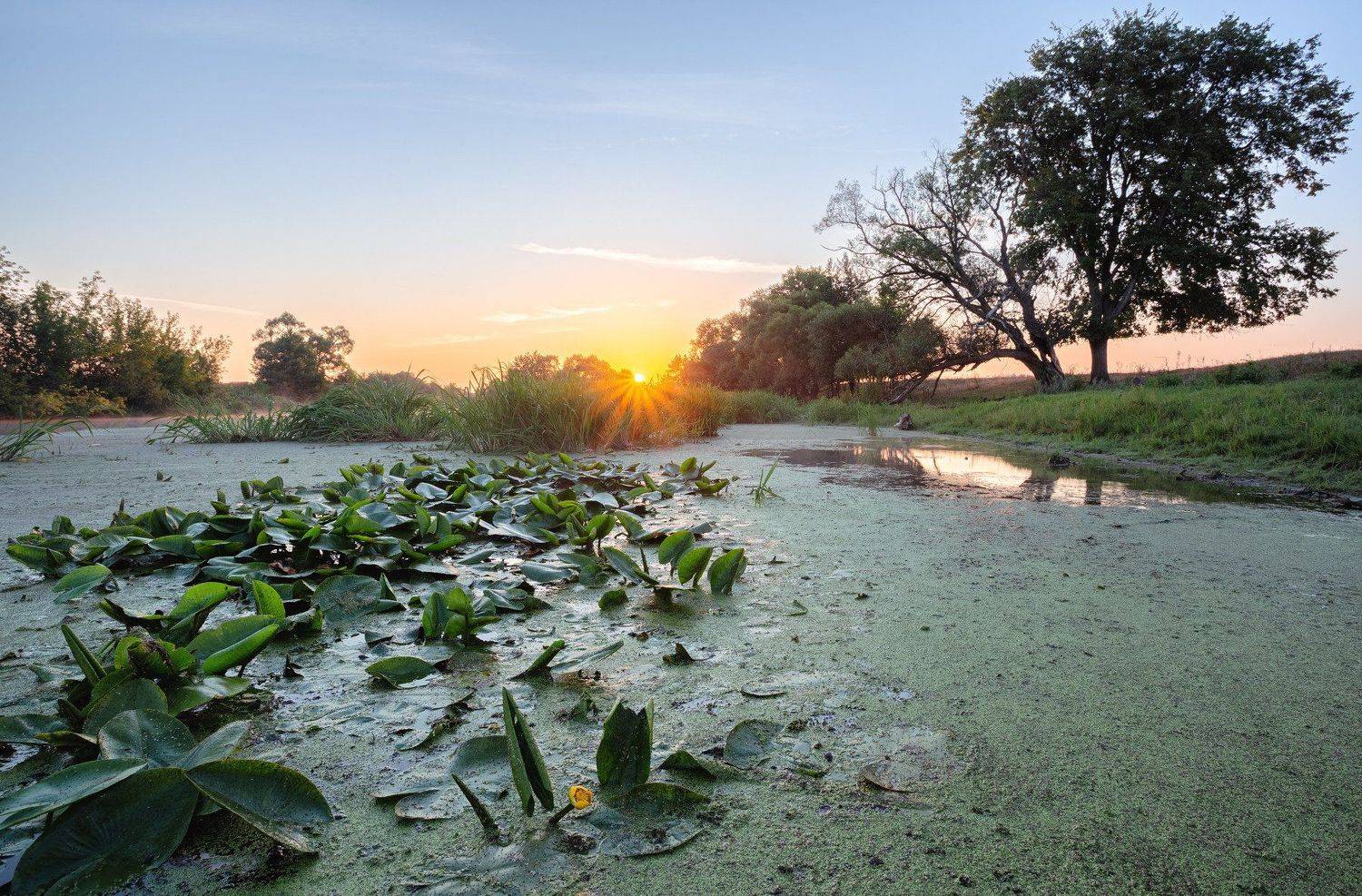 , Александр Бредихин