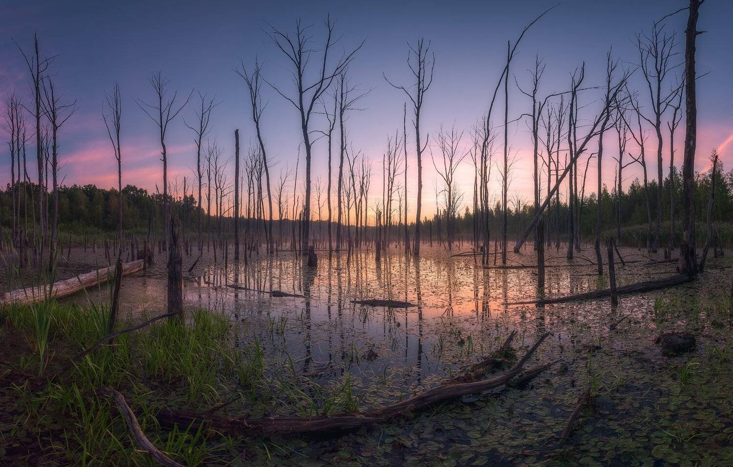 суворов, рассвет, лето, утро, природа, Виталий Левыкин