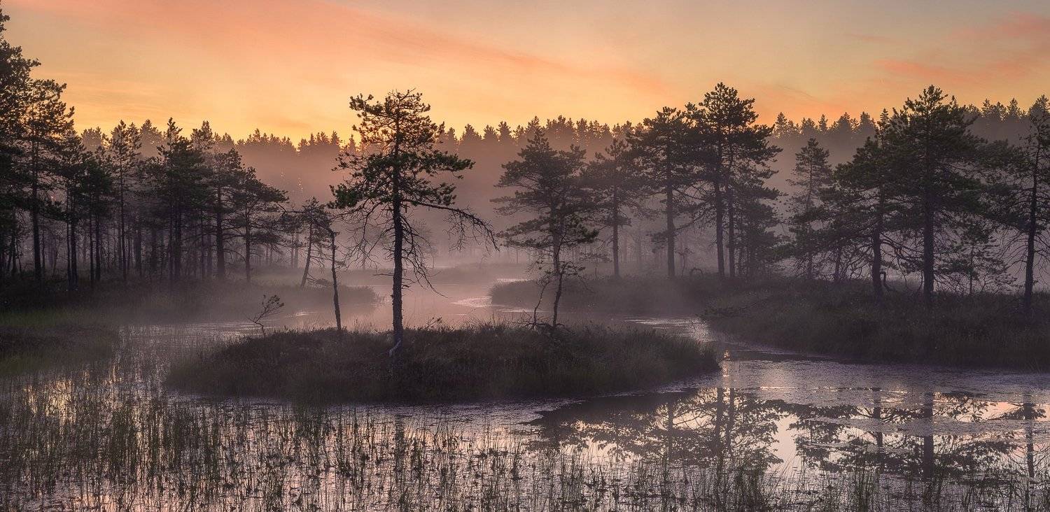 ленинградская область, ленобласть, Александр Писарев