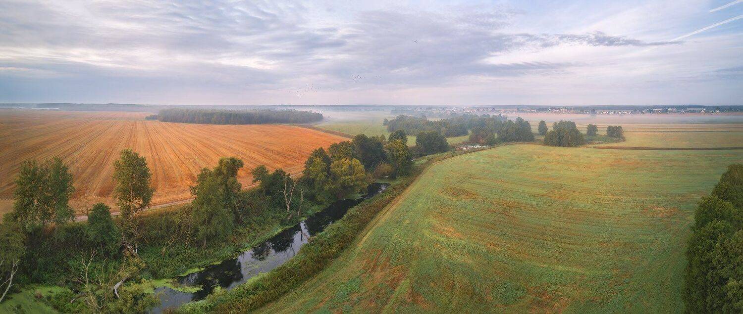 август, беларусь, лето, поля, рассвет, река, туман, уса, утро, Вейзе Максим