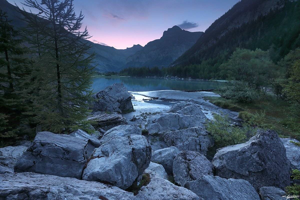 swiss, Матвеев Николай