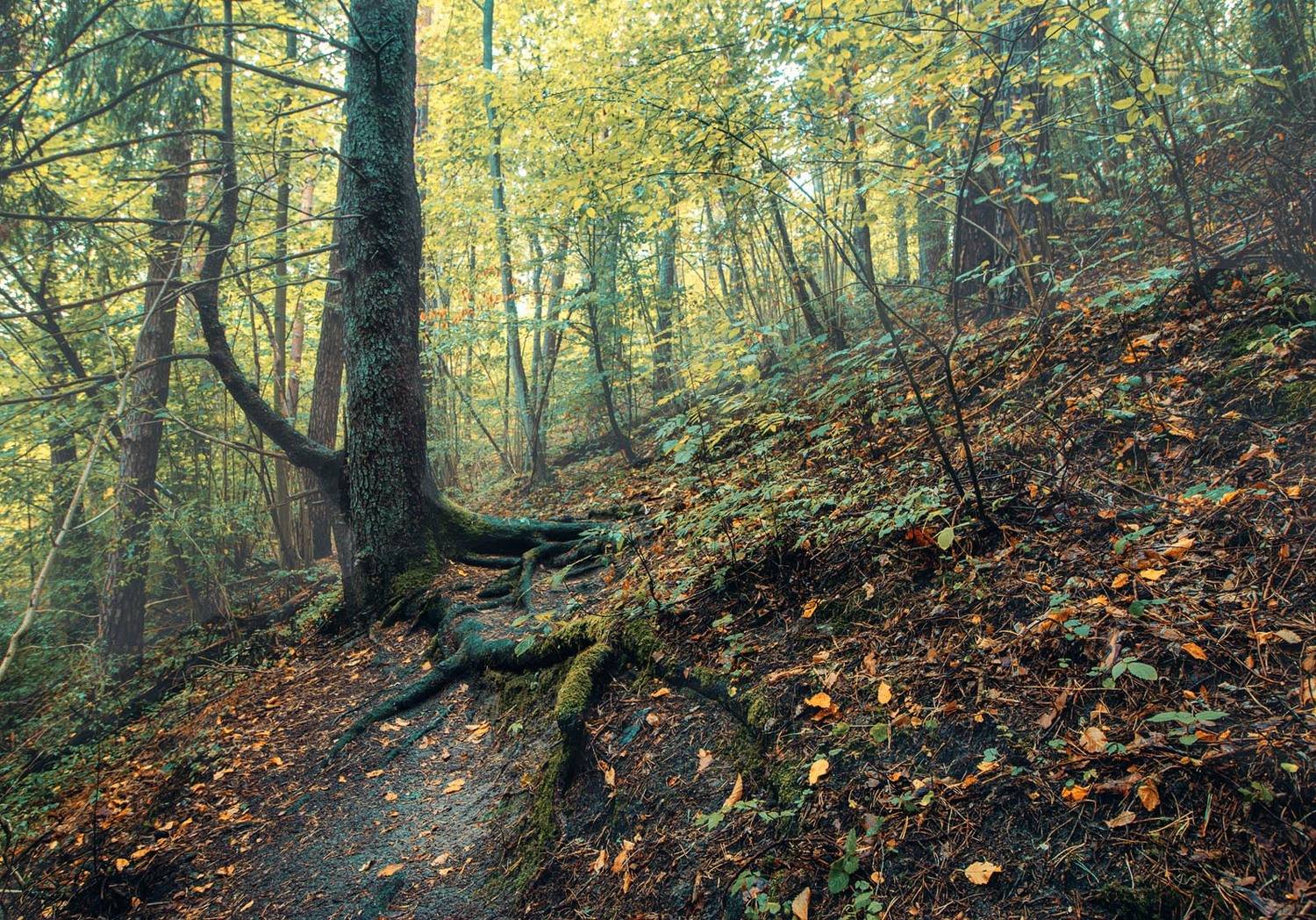 , Павел Дунюшкин
